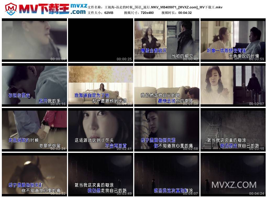 王祝海-该走的时候_国语_流行.MKV_MB405971
